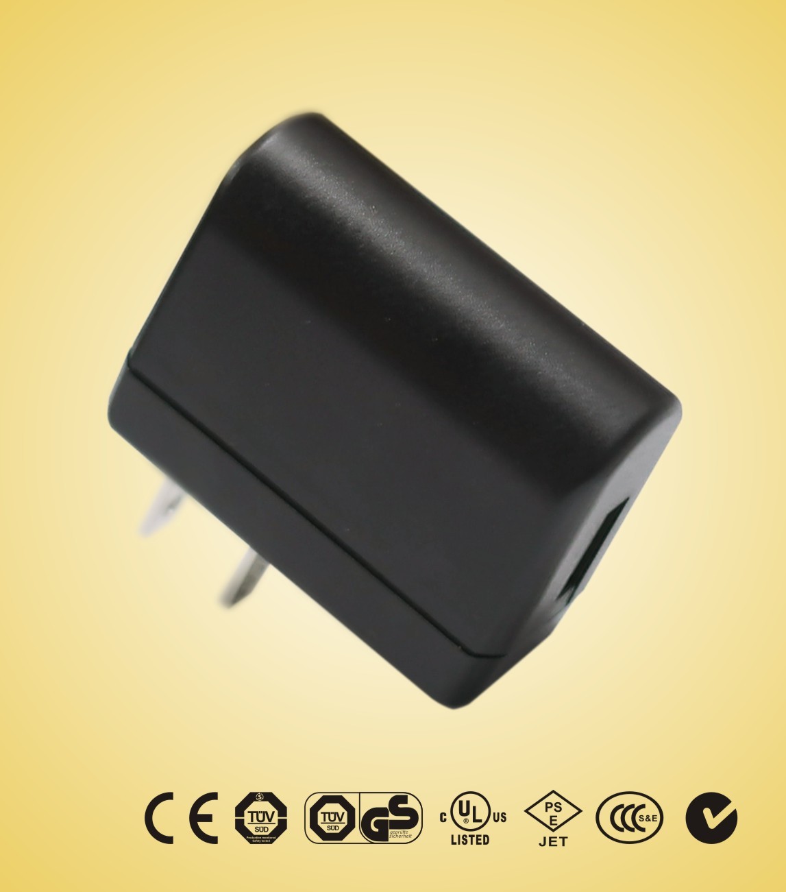 5W 15 a - 30 a 120 v - 240V AC, 3V - 12V DC universel USB adaptateur (2 broches)