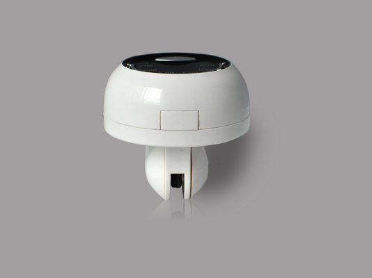 Produisez le chargeur universel d'adaptateur de puissance de voiture d'usb du micro 5V/1A pour iphone5/6 12v - 24v