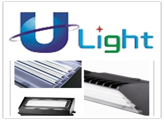 le paquet de mur de Black&White LED de la puissance faible 17W allume la cellule photo-électrique 1600Lm